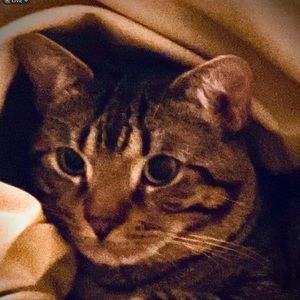 Meet your Posher, Sleigh